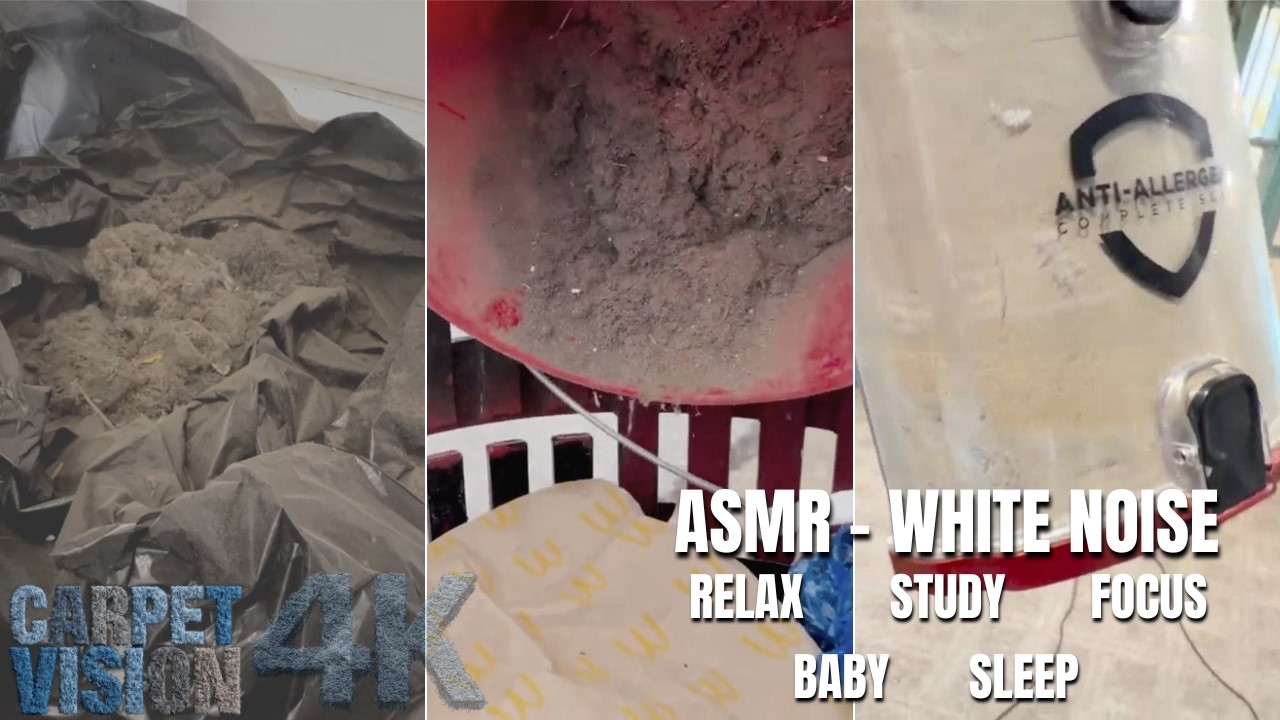ASMR Vacuum Compilation  (Vol 1) | Hypnotic Vacuuming for 2 Hours | Fall Asleep Fast😴