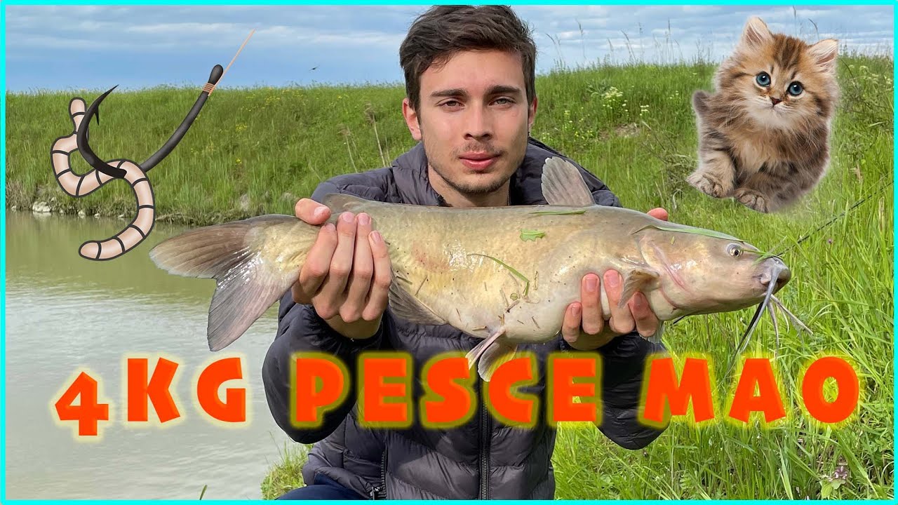 PESCA nei FOSSI di CAMPAGNA! IL PESCE GATTO che non ti aspetti!
