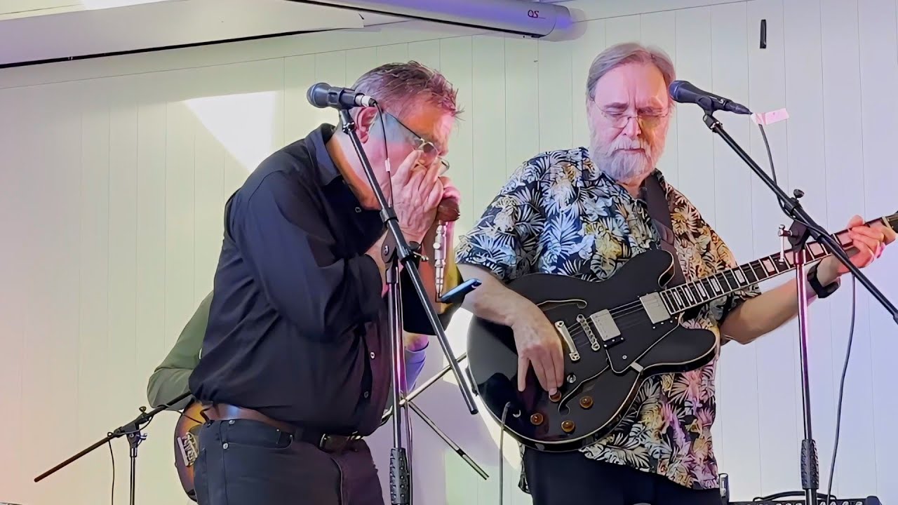 Deluxe Blues Band 