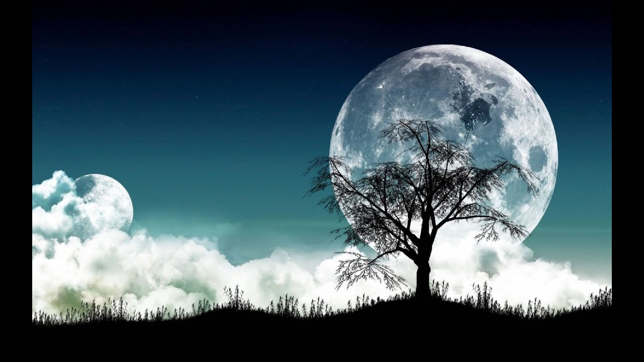 Two Hours of Smooth Jazz Parade [Piano, Guitar, Drums, Violin & Saxophone] 
