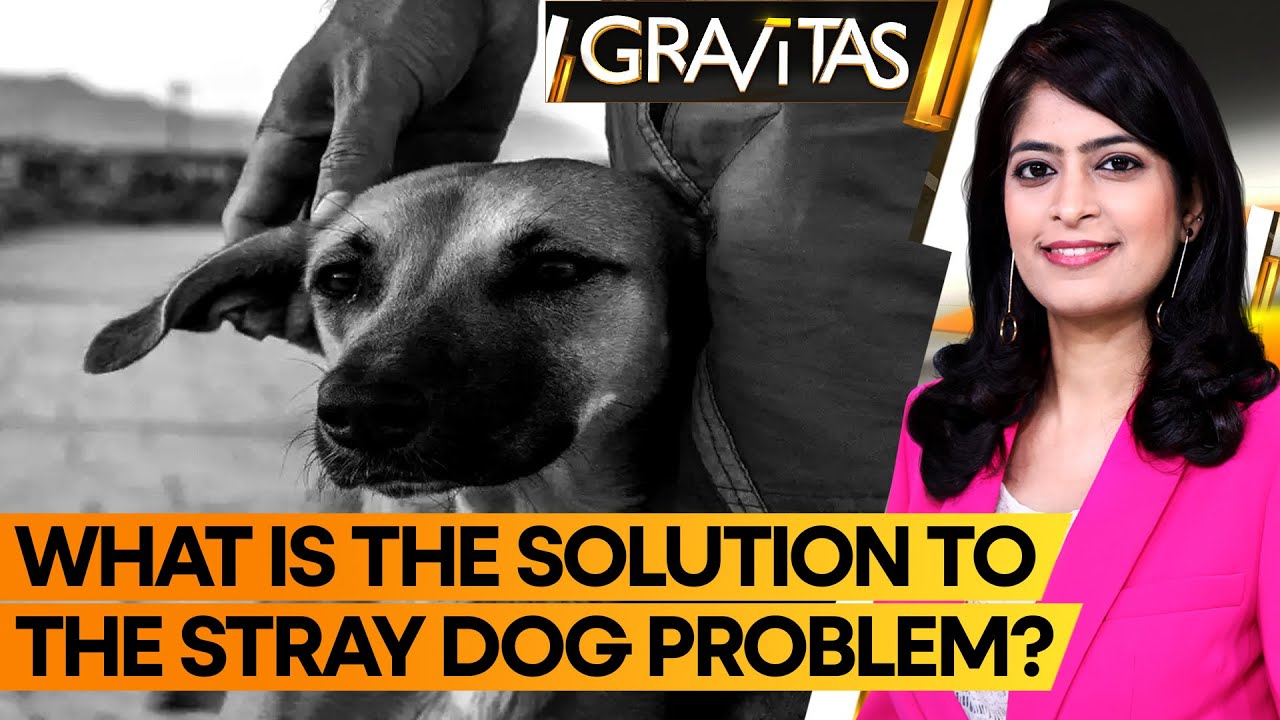 Gravitas | India's stray dog menace: Who is the villain? | WION