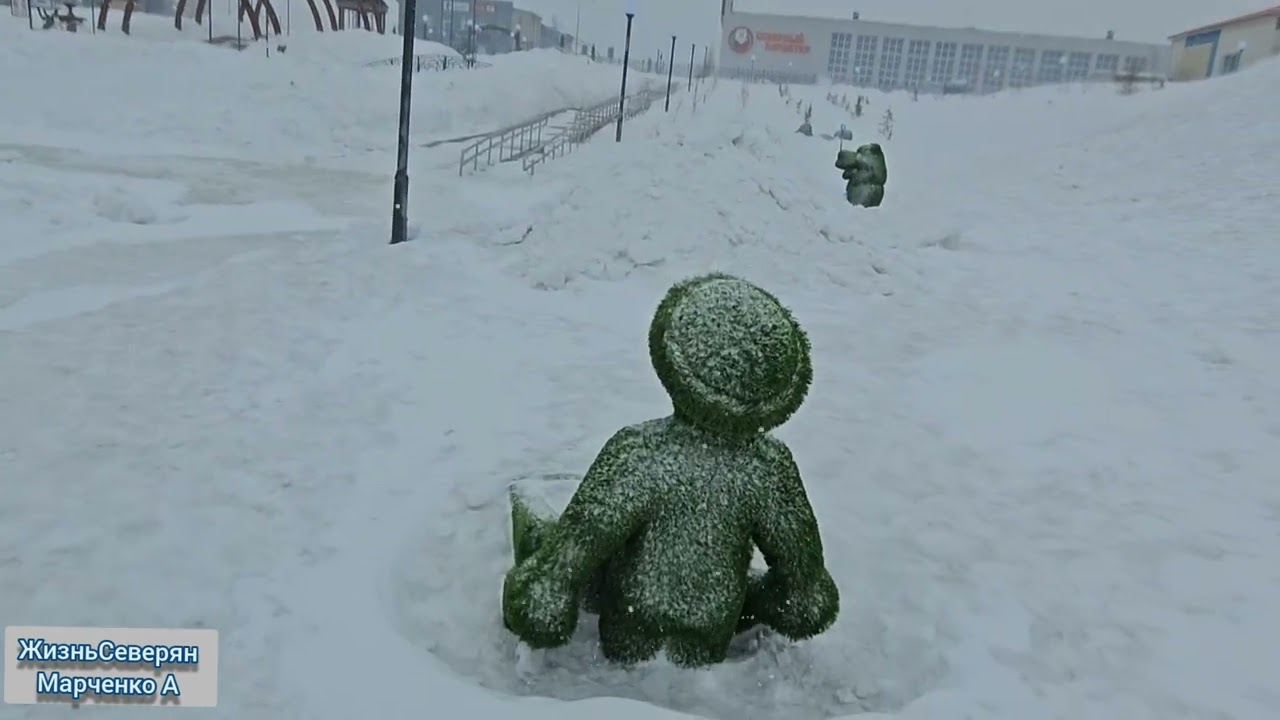 Russia #nord #2024 белая#весна в самом разгаре #ямал #лабытнанги #заполярье #жизнь Северян #север