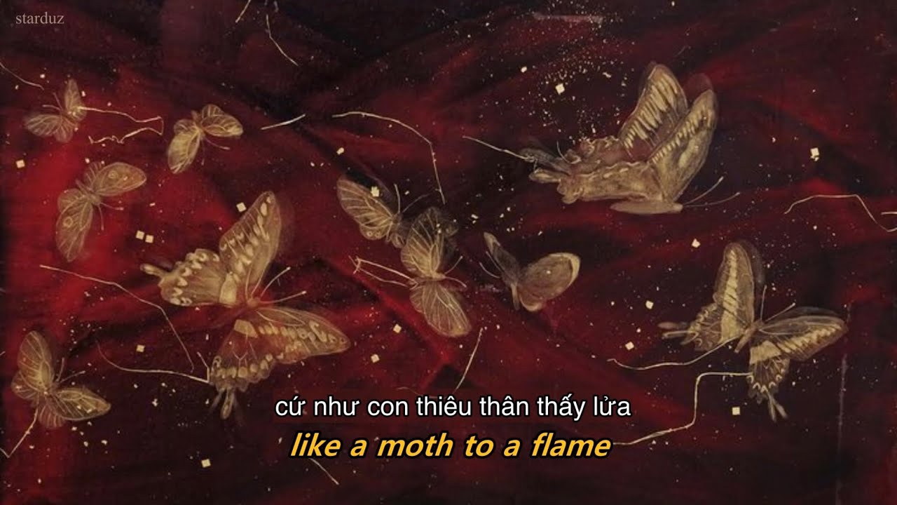 moth to a flame - swedish house mafia & the weeknd lyrics//vietsub