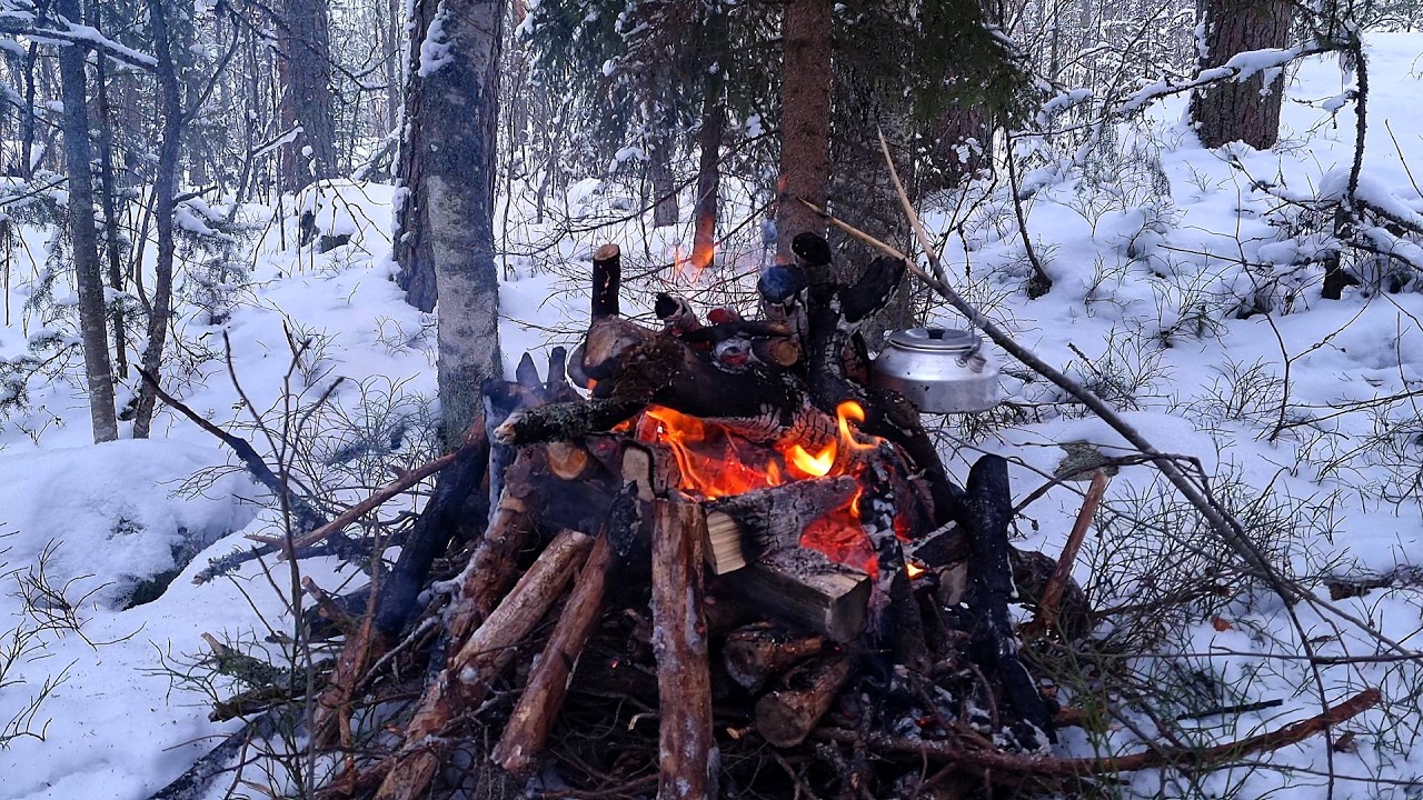 Cozy Real Campfire with Coffee Pot ☕ Relaxing Morning Vibes 🔥 4K NO ADS | Zen 💤