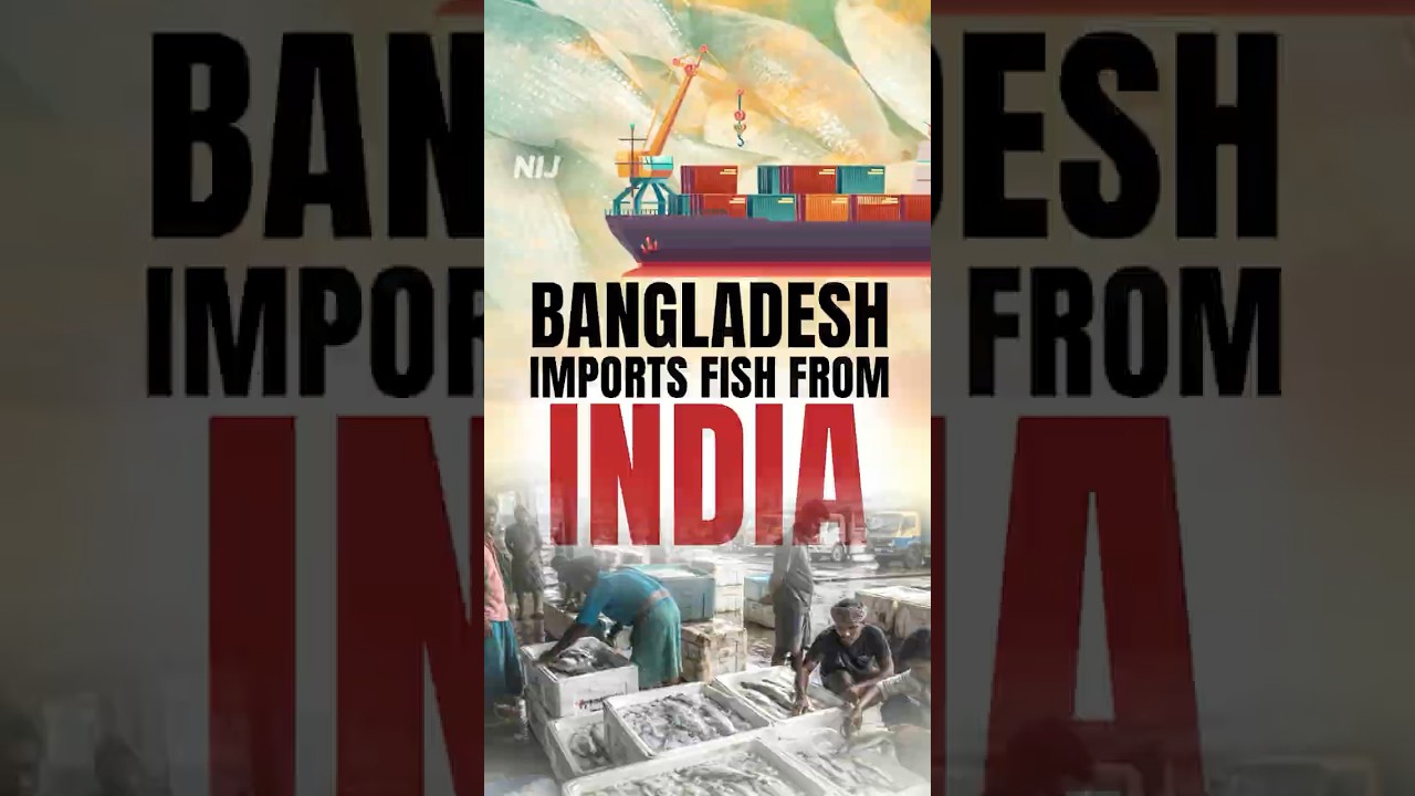 India exports Hilsa to Bangladesh | A New turn in Regional Fish Trade
