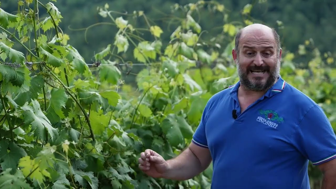 Una giornata con    Azienda Agricola Cincinelli