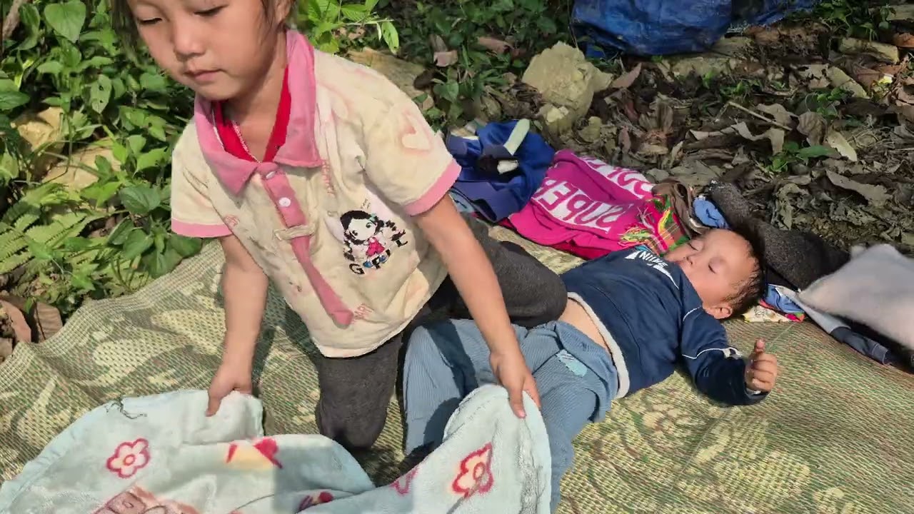 ở nhà cũ họ họ đuổi ra khỏi nhà ba mẹ làm lại nhà ở #Hoàng tiểu yến #123