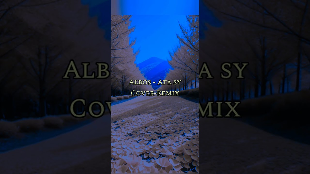 Albos - Ata Sy (Cover Remix)