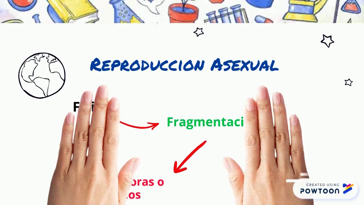 Ascomycota