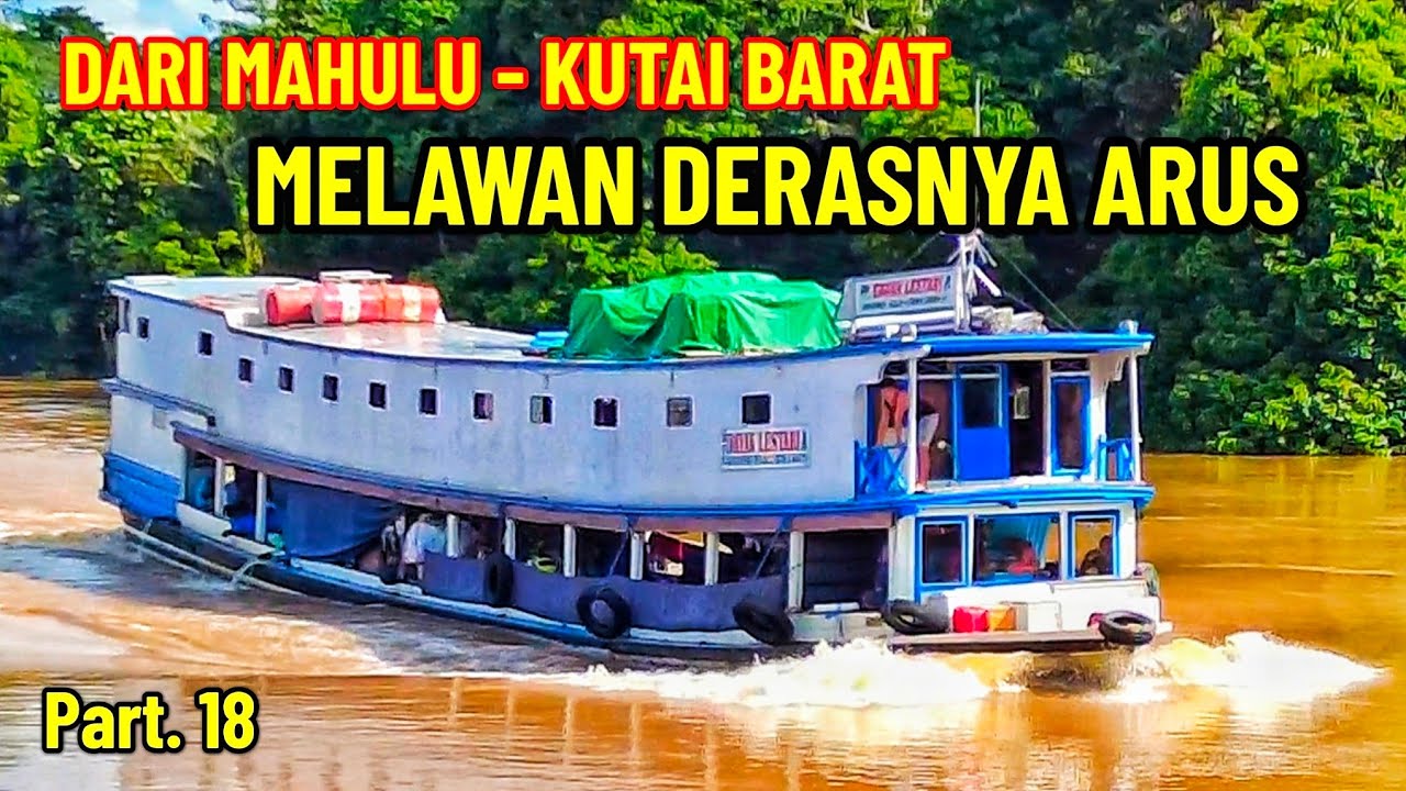 BERTEMU KM. DAYAK LESTARI FULL MUATAN MELAWAN DERASNYA ARUS SUNGAI MAHAKAM BORNEO ISLAND