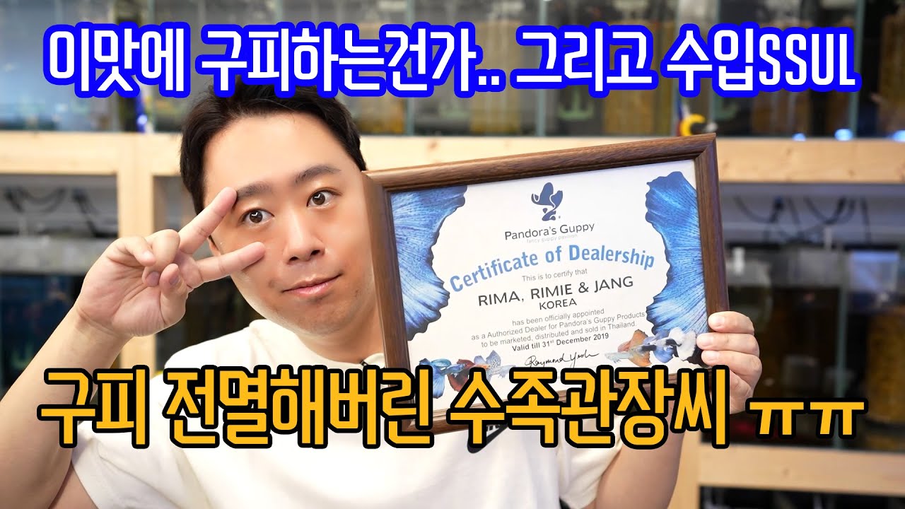 구피 전멸해버린 수족관 장씨... 그리고 짧은 생물수입 장사썰