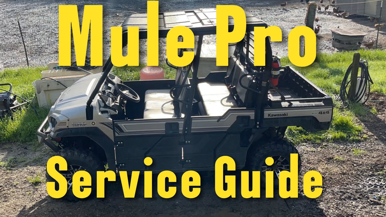 Полное руководство по обслуживанию Mule Pro
