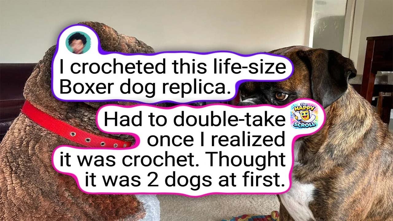 People Who Created Crochet Wonders With Just a Hook and Yarn