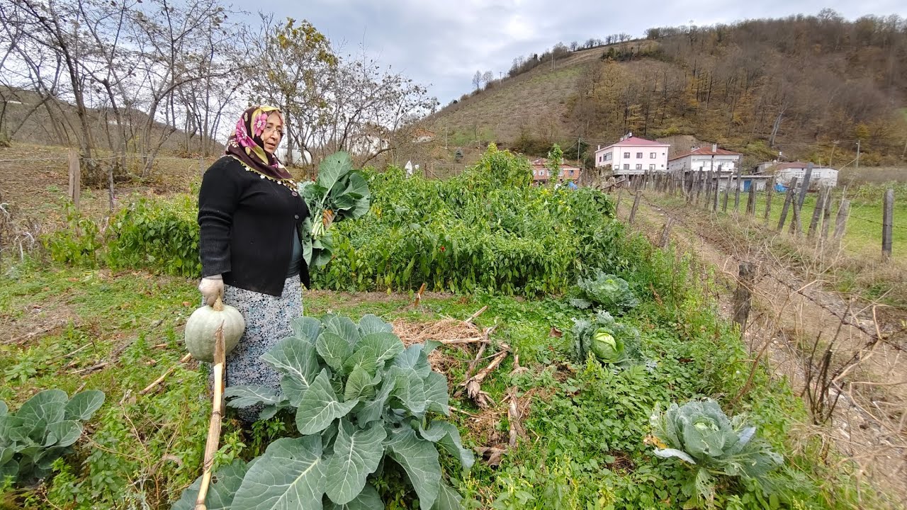 Köyde Güneşli Bir Kış Gününde Bahçe Temizliği | Karadeniz’de Yaşam