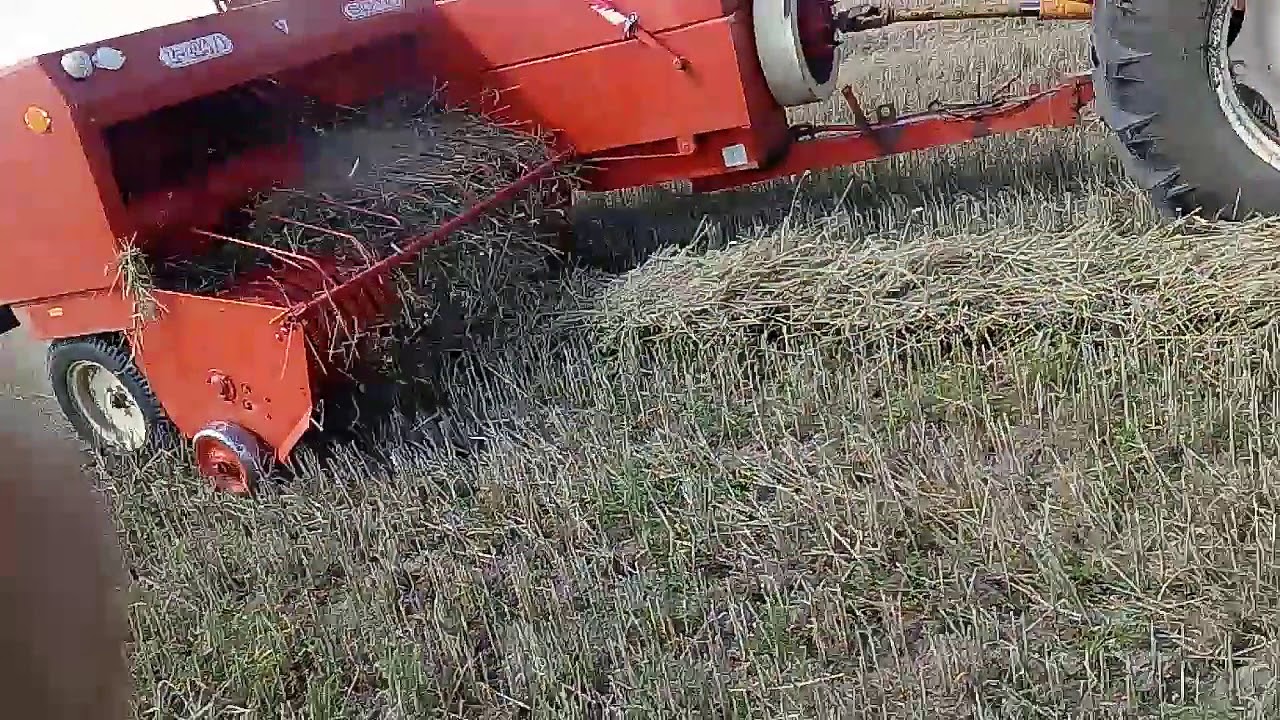 Presowanie słomy Presa sipma /ZETOR 7045 w akcji