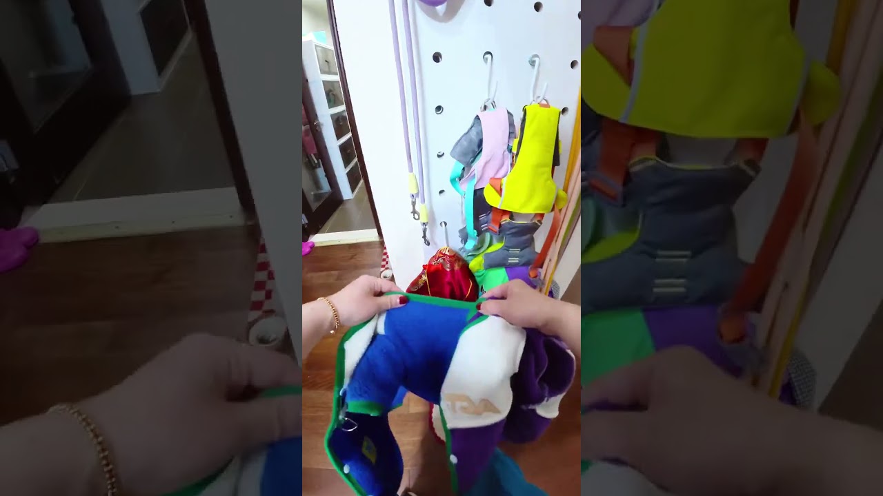 Supermom's Juggling Act: Balancing Work, Family, and Furry Friends