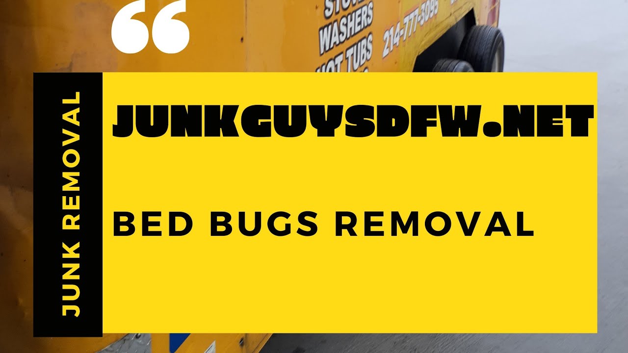 Bed Bug Removal in Furniture Dallas Texas