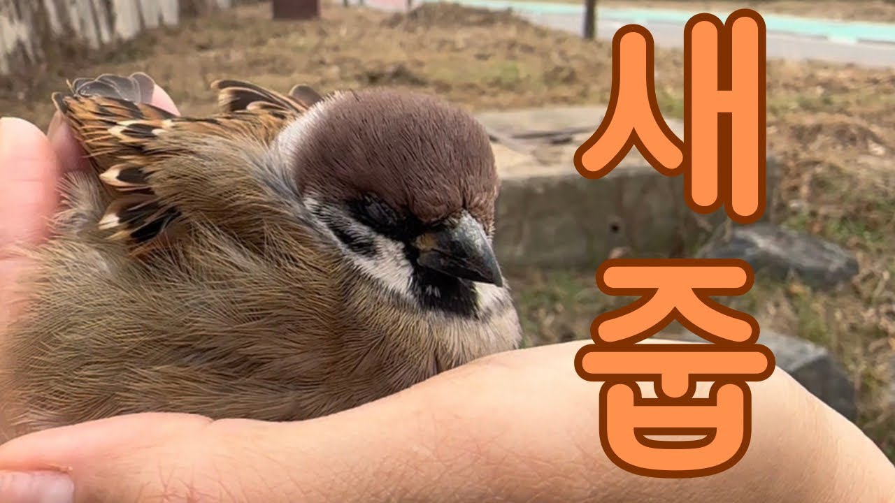 이제 그만 줍고 싶어요