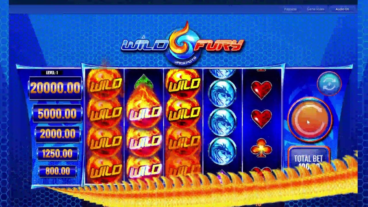 $100 Max Bet Spins on Wild Fury Slot Machine (Play Alberta)