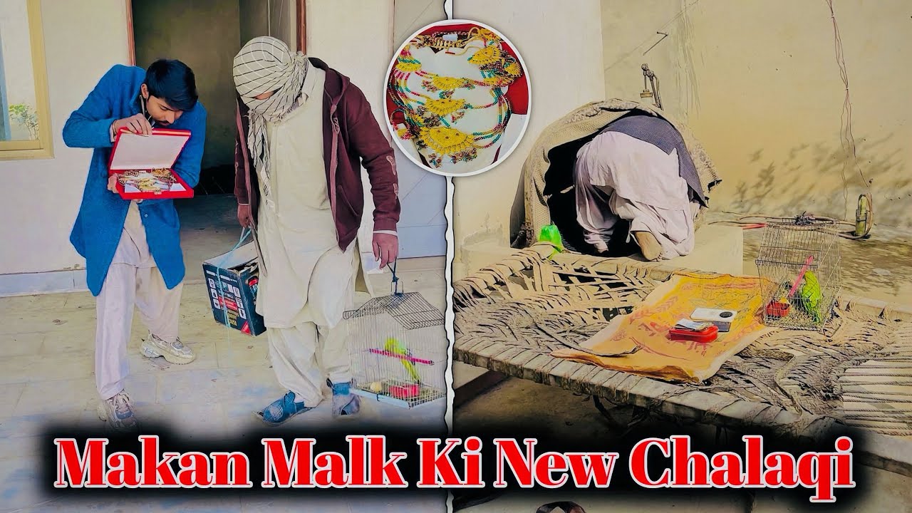 Makan Malk Ki New Chalaqi 😂 ( Comday Video ) Team Dilawar 