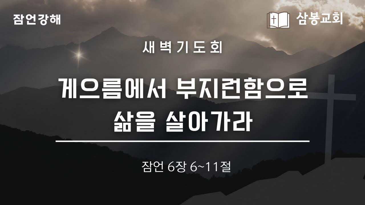 잠언강해 / 본문말씀 잠언 6:6~11 “게으름에서 부지런함으로 삶을 살아가라” | 2026.3.6