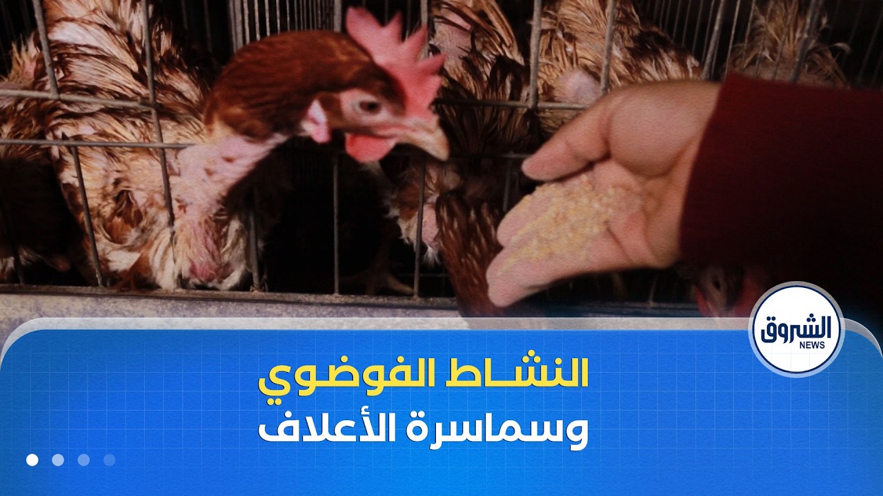 النشاط غير النظامي و الدفع البعدي أسباب كامنة وراء لجوء المربين إلى سماسرة الأعلاف