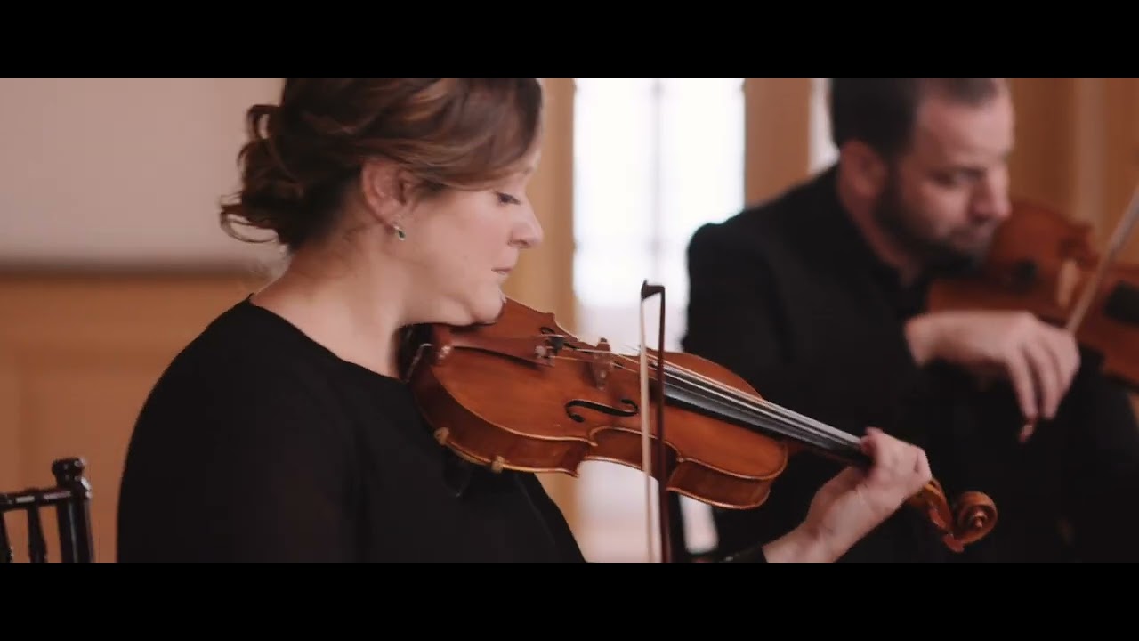 Starlight (Muse) Performed by Elysium Quartet (by Matthew Bellamy arr. Sasha Ivanov and Derek Stein)