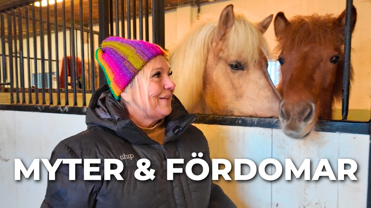 Stallmyter, hästfolk & verkligheten däremellan