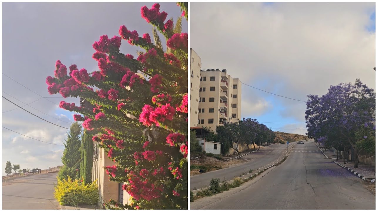 حي العامرية نابلس🏠🏘