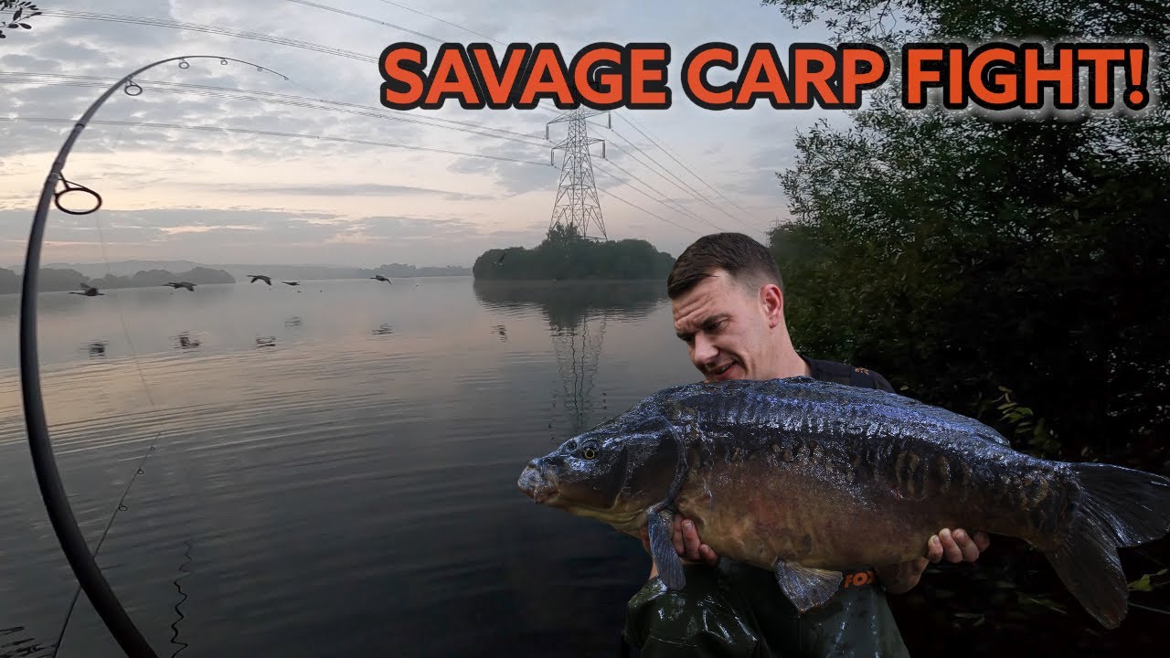 SAVAGE CARP FIGHT ON BRAID!