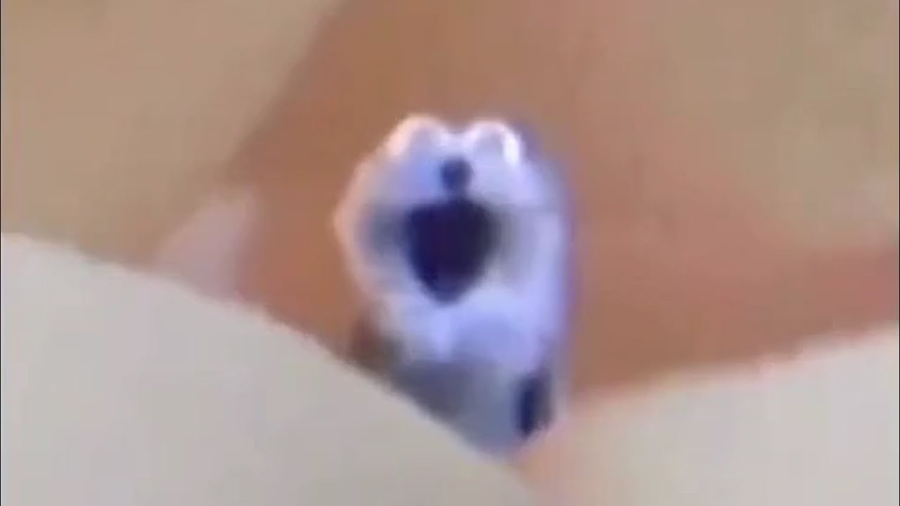 1 hour of screaming blue thing