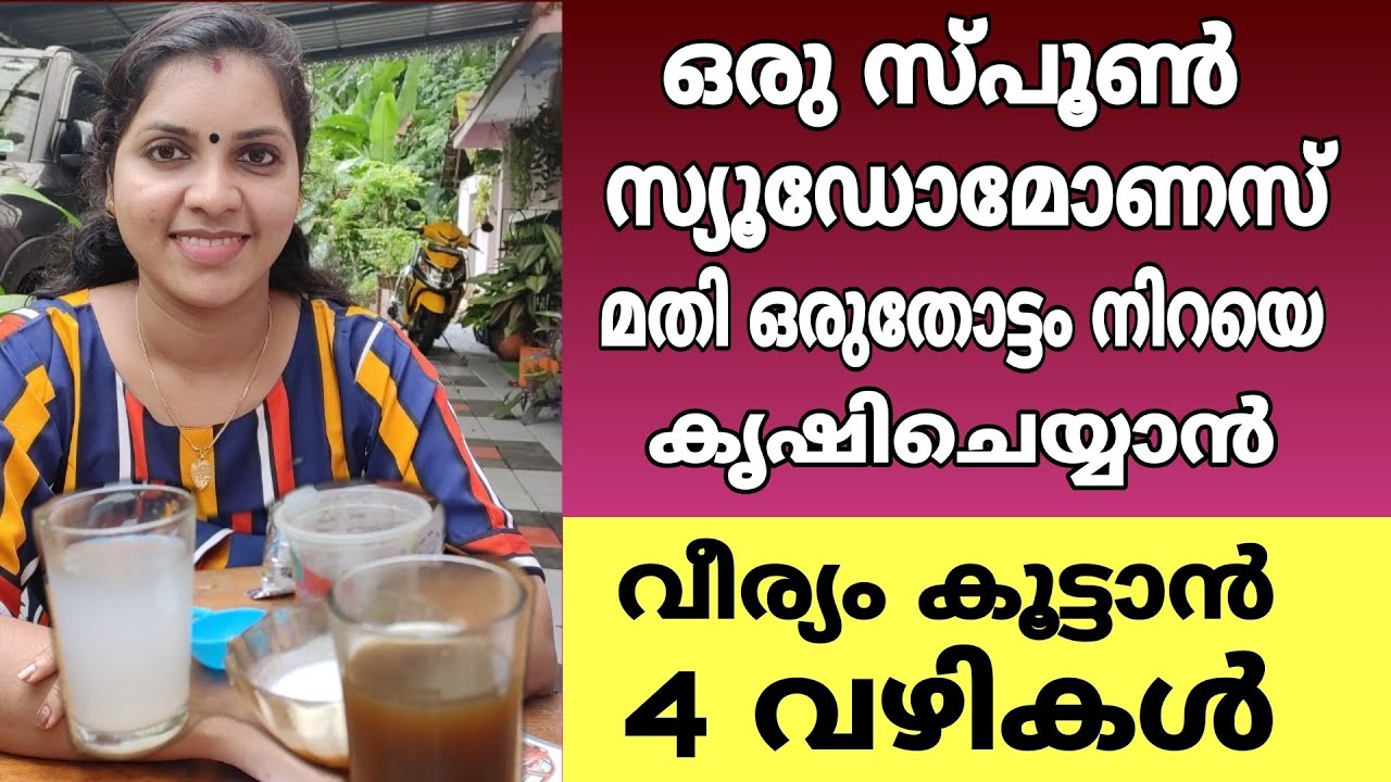 സ്യൂഡോമോണസിന്റെ വീര്യം 10 ഇരട്ടി കൂട്ടാൻ 4 വിദ്യകൾ|how to increase pseudomonas power very easily