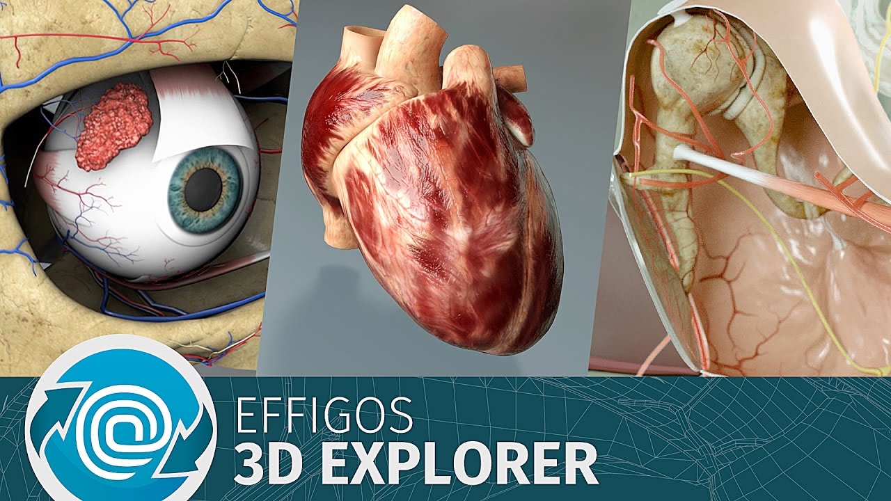 Effigos AG - 3D Explorer