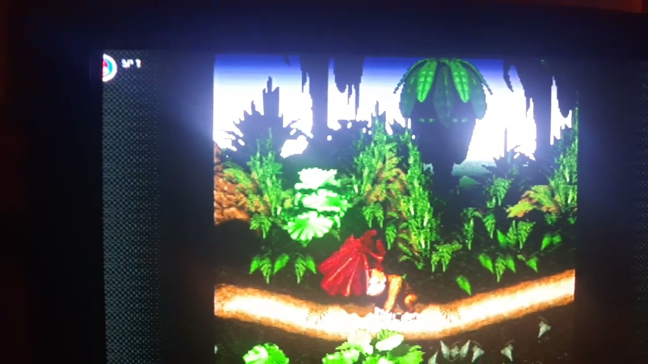 Donkey Kong Country (SNES) on Panasonic CRT via Nintendo Switch 2