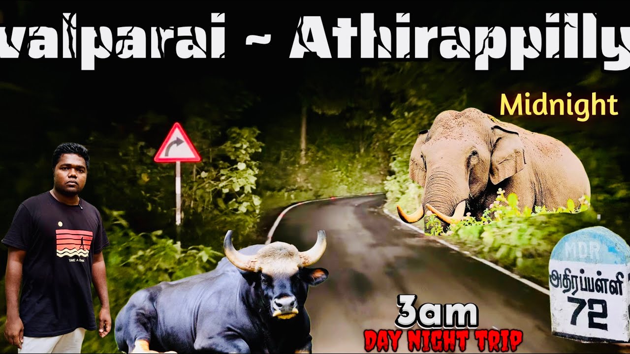 valparai to athirappilly to valparai Day and night Forests travel Animals spotted In deep Forest 