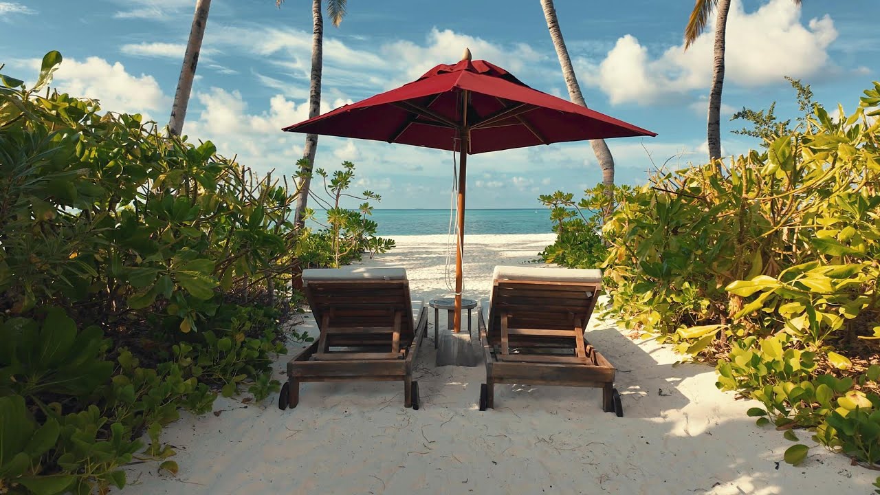 Barcelo Whale Lagoon Maldives | Sunrise Beach Villa Complete Tour in 4K