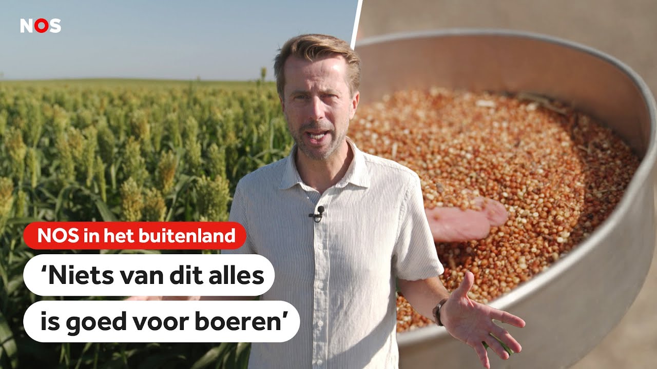 Boeren in Kansas stemden massaal op Trump, maar krijgen flinke klappen