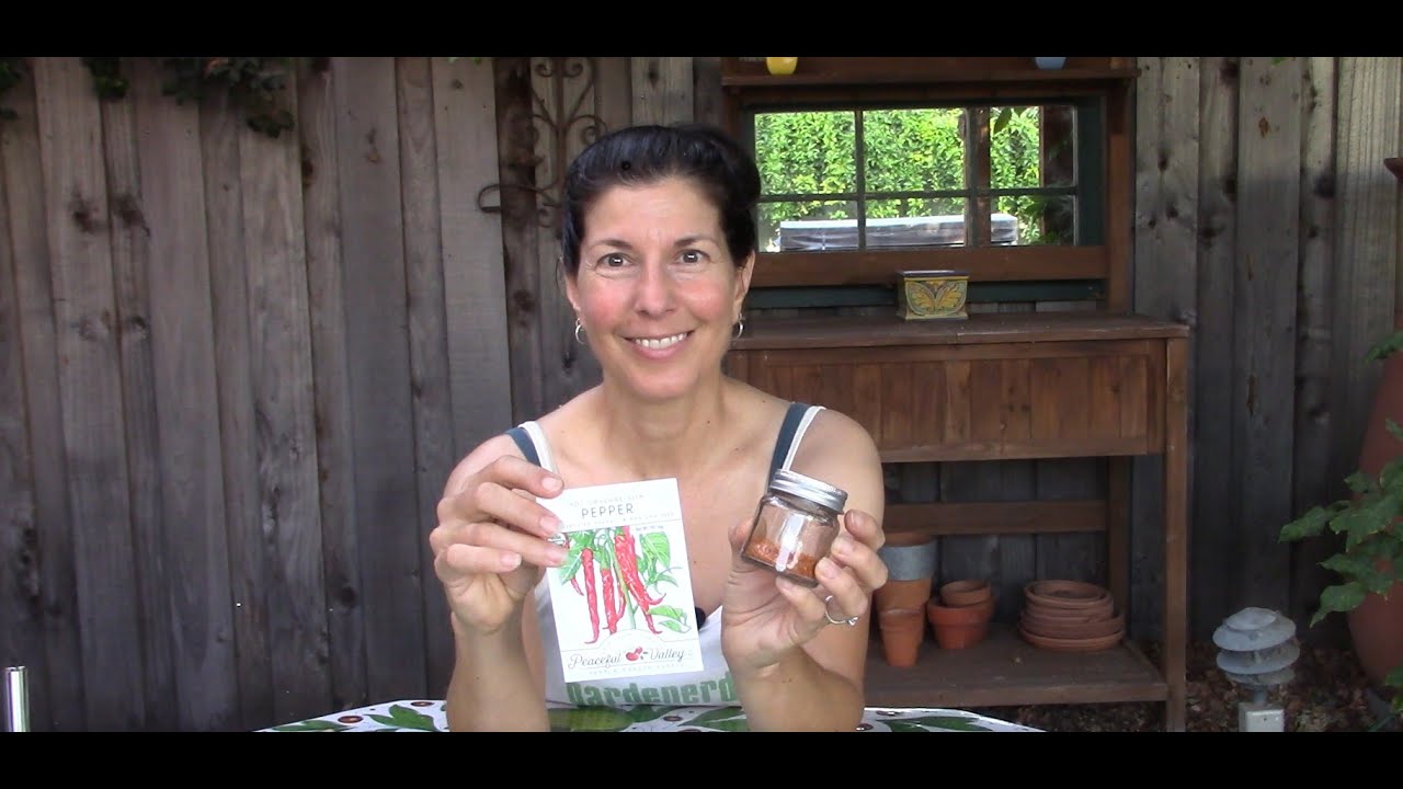 Homemade Cayenne Pepper Powder - from Garden to Kitchen