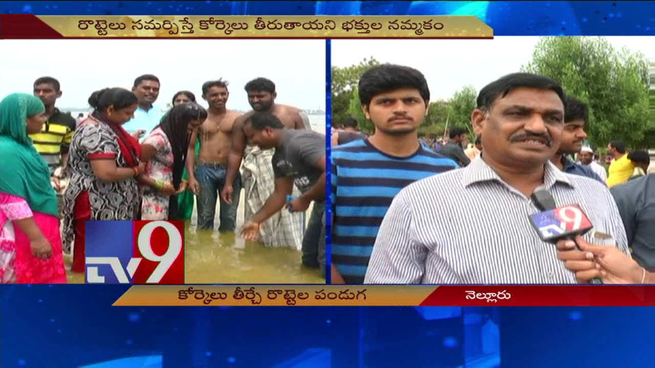 Rottela Panduga begins in Nellore || TV9