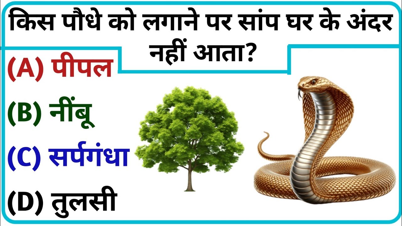 UPSC & IPS Level GK Questions | Most Unusual General Knowledge#gk 