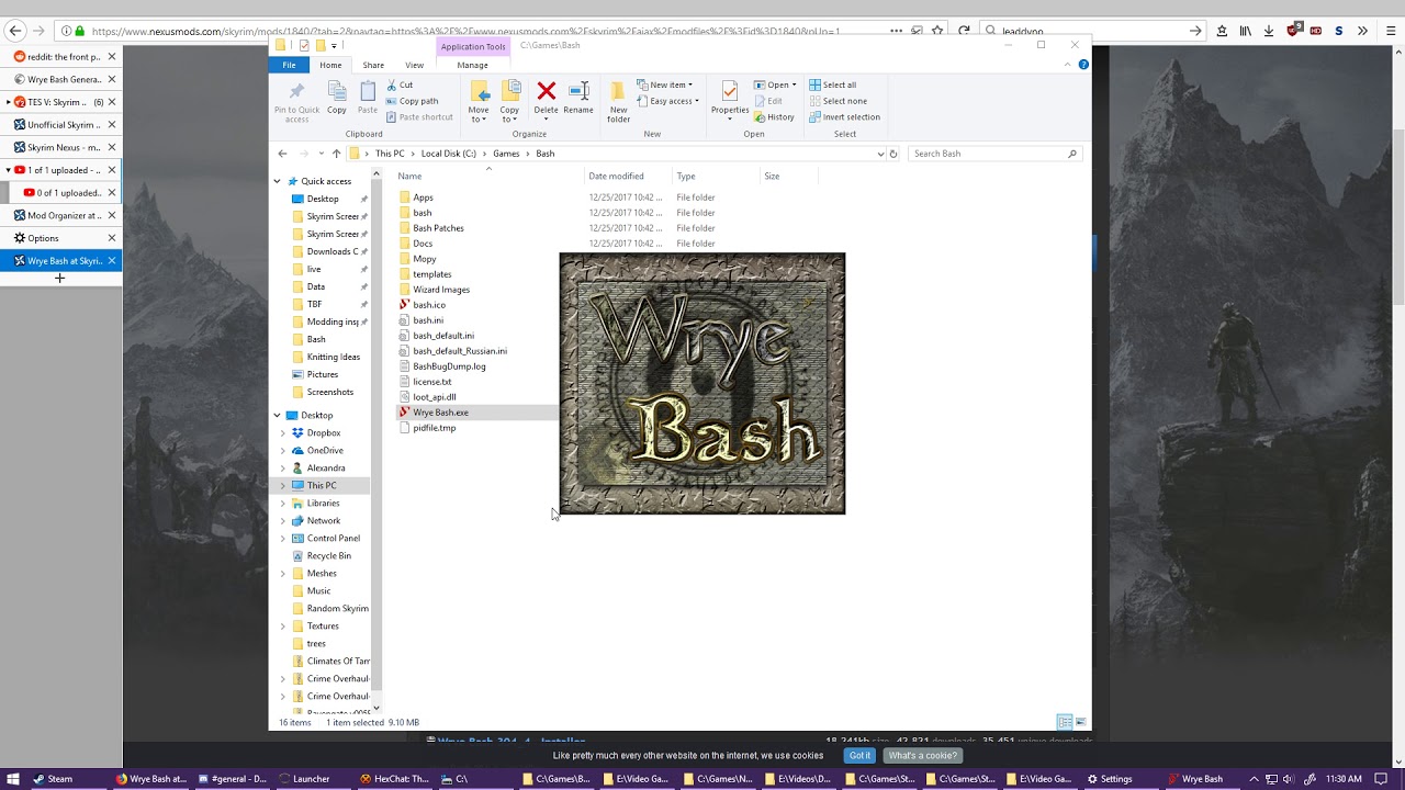 Installing a mod with Wrye Bash