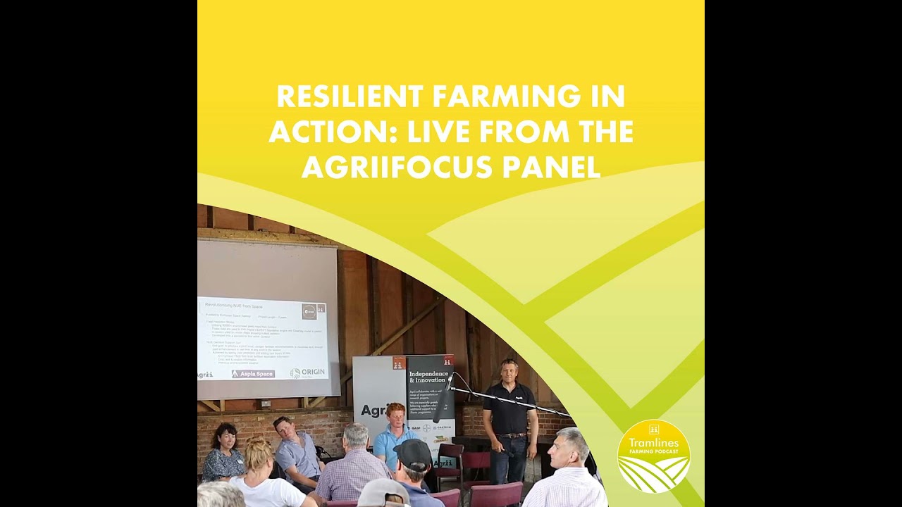 Resilient Farming in Action: Live from the AgriiFocus Panel