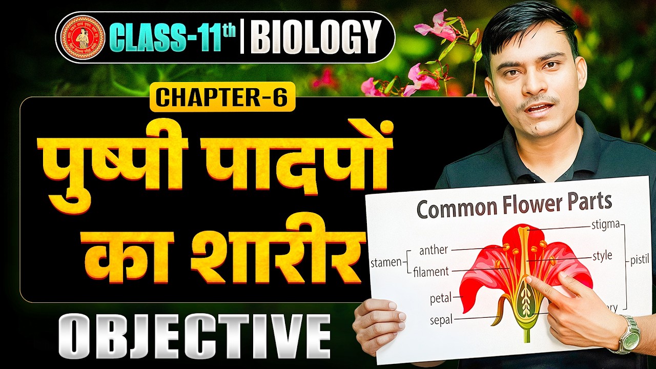 11th Biology Chapter 6 Objective Bihar Board | पुष्पी पादपों का शारीर Class 11th Biology Objectives