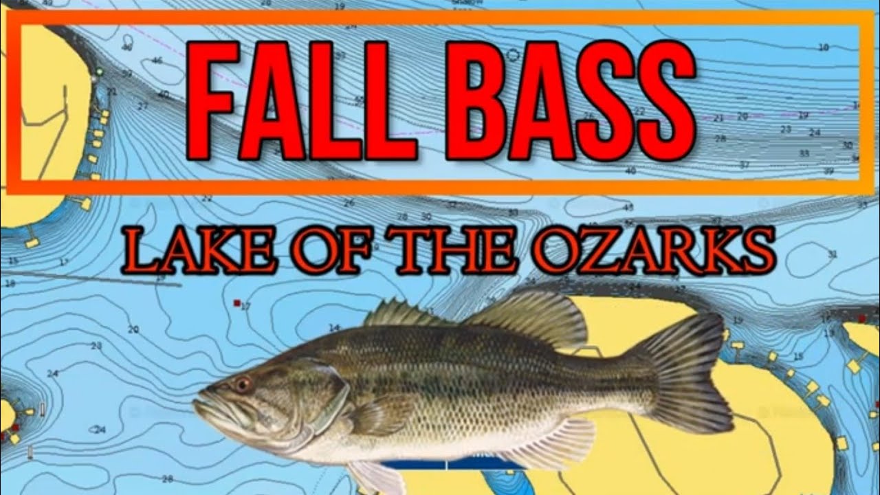 Fall Bass Breakdown | Lake of the Ozarks