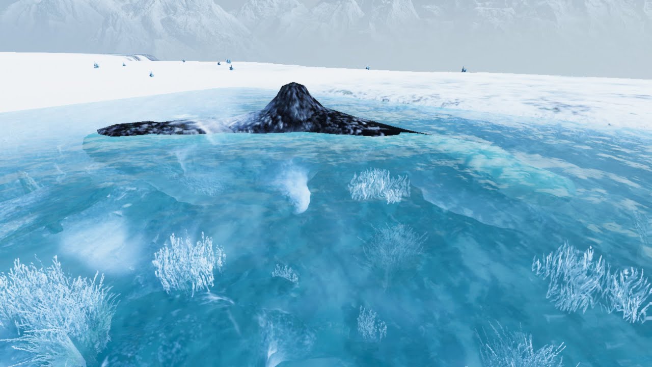 Orca Surfaces