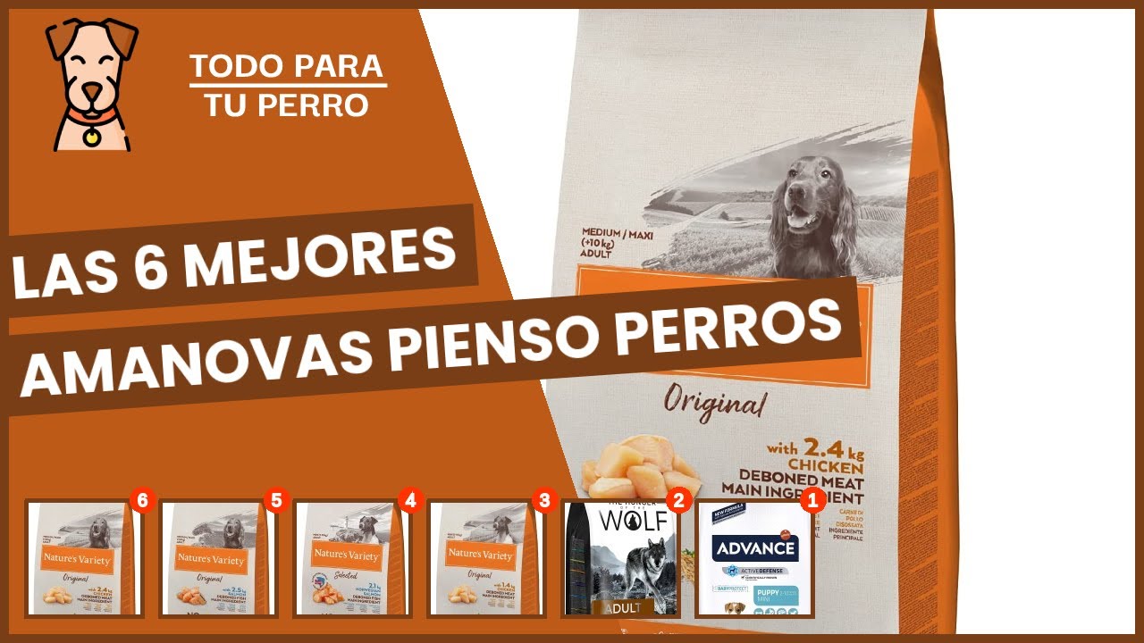 Las 6 mejores amanovas pienso perros