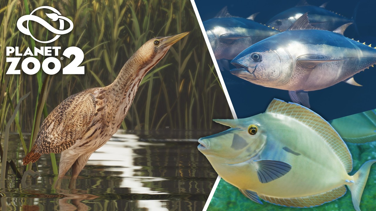 A bird, some fish and many Comebacks! Zoopedia Update