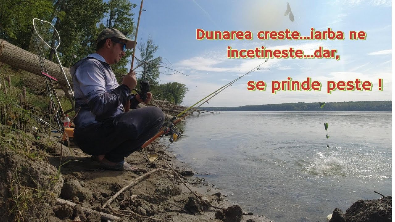 Partida de exceptie intr-o expeditie de 5 zile pe Dunare ! Momeala de carlig a facut diferenta !