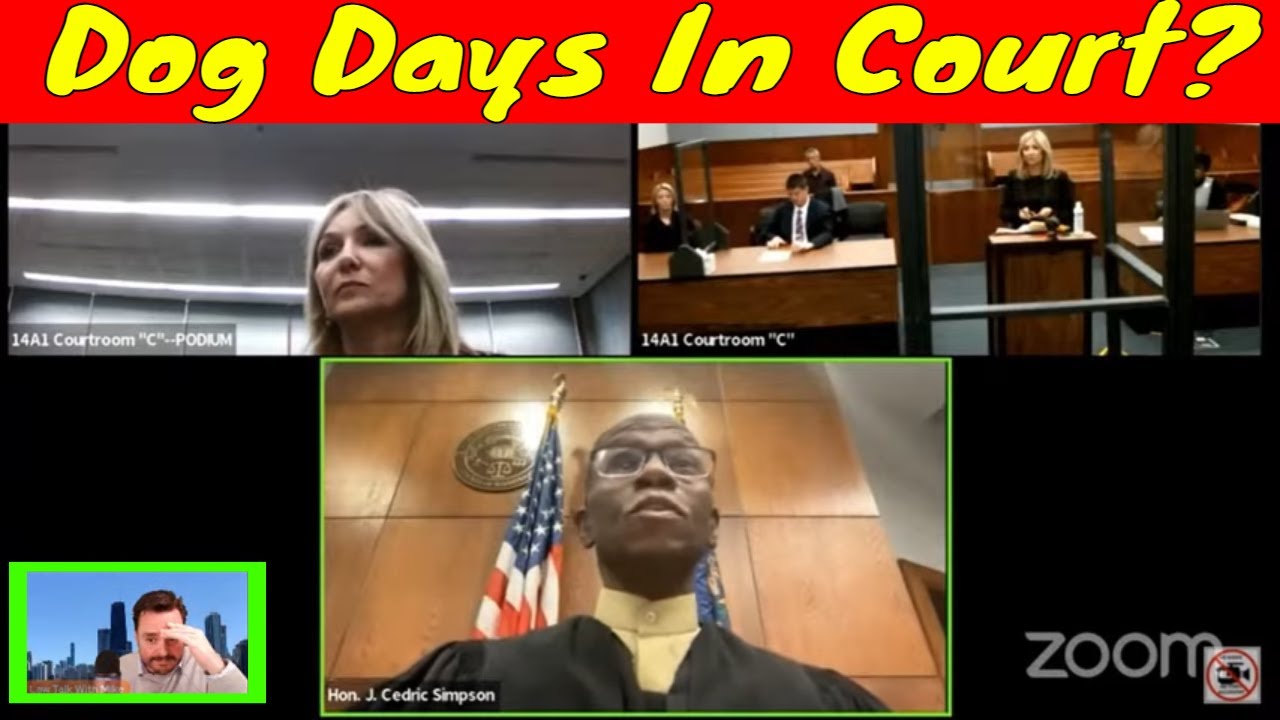 Wild Court Moments #68 Dog Days