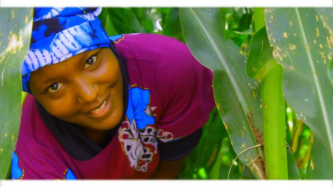 Totonated Borto by Yoyo Zing official music video 1080p